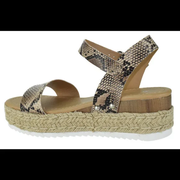 CLIP-S Python Soda - Picture 3 of 3